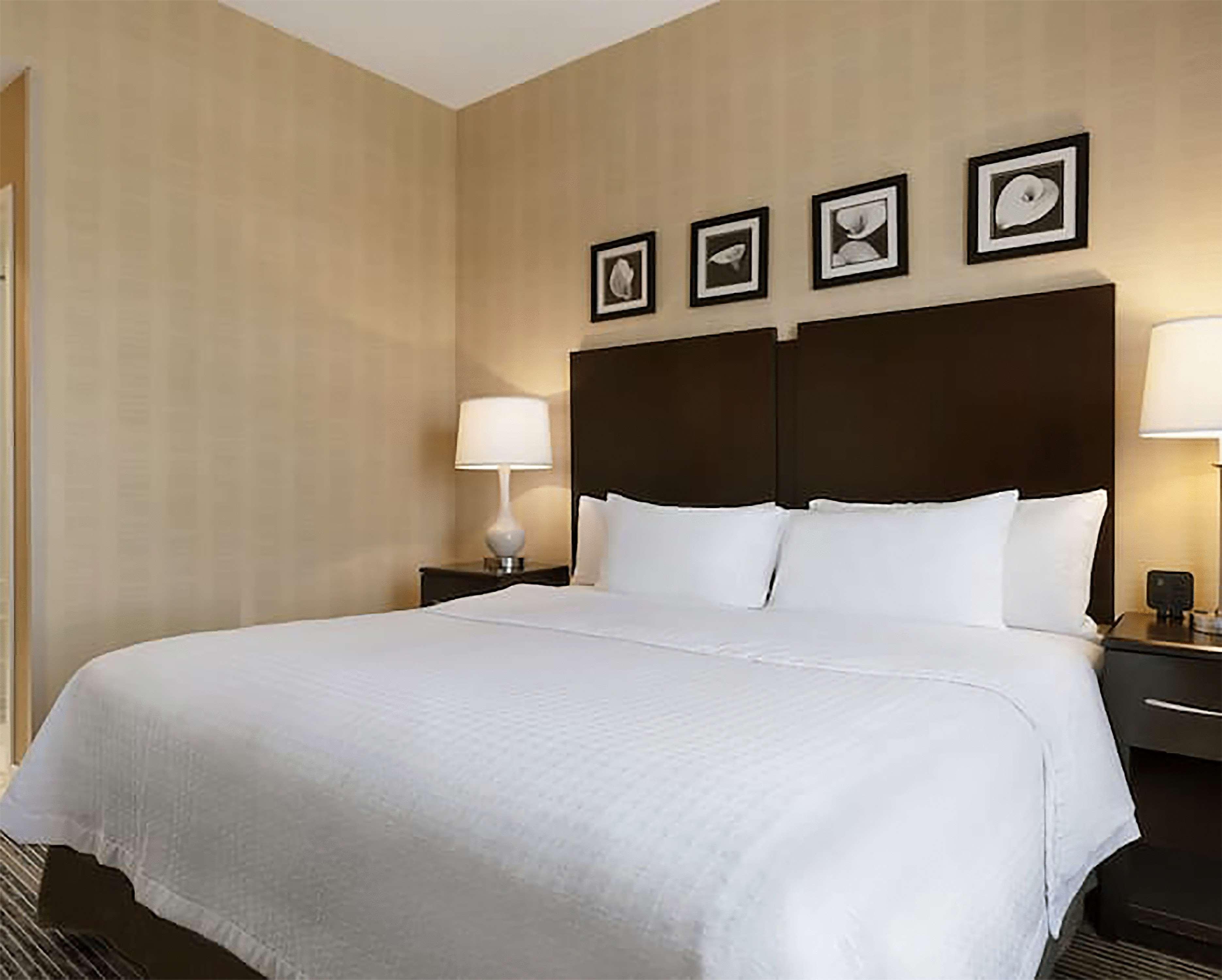 Homewood Suites By Hilton Newtown - Langhorne, Pa Zewnętrze zdjęcie